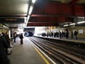 IMG_4953
