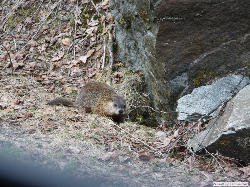 US2013-032