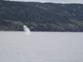 US2013-079