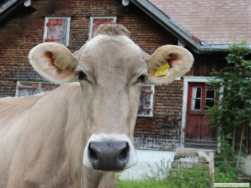 oostenrijk-052