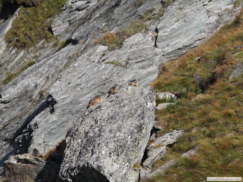 oostenrijk-178