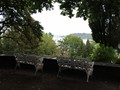 oostenrijk-034