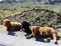 oostenrijk-077