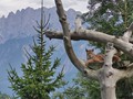 oostenrijk-169