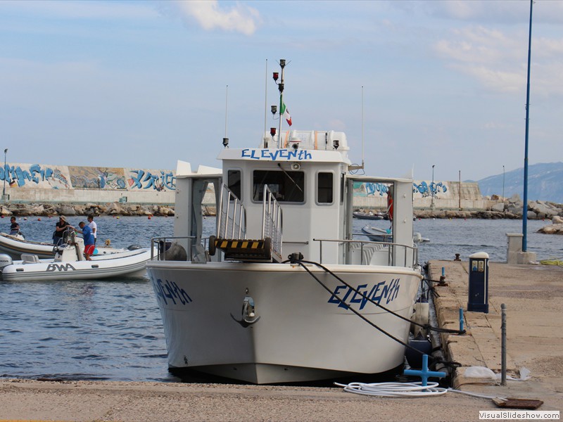 SAR-029
