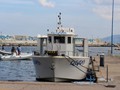 SAR-029