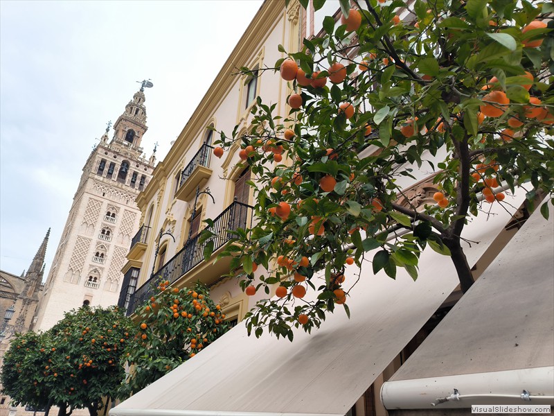 sevilla-144
