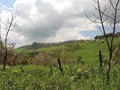 Sicilie-090