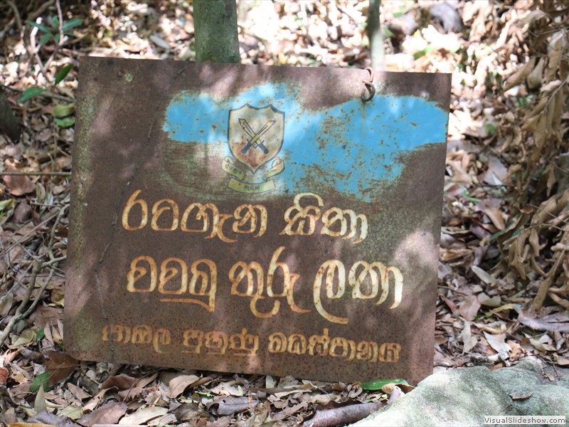 sri-506