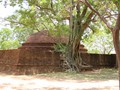 sri-475