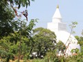 sri-774