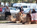 turkije-039