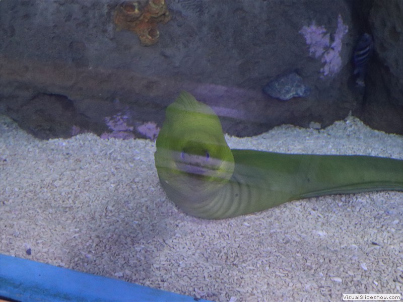 1045