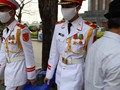viet-029