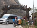 viet-048