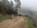 viet-062