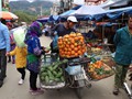 viet-083