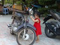 viet-431