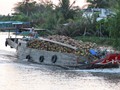 viet-434