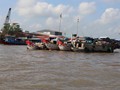 viet-437
