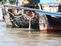 viet-443