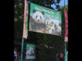 Wen-049
