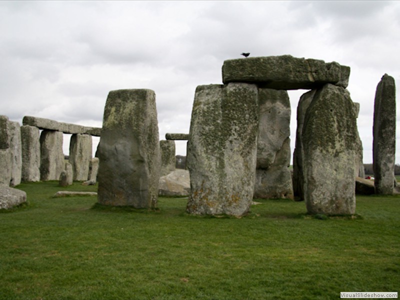 Wight_03