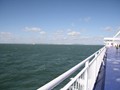 Wight_02