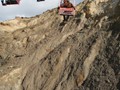 Wight_29