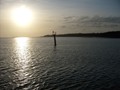 Wight_30