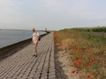zeeland-28