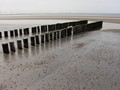 zeeland-31