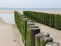 zeeland-36